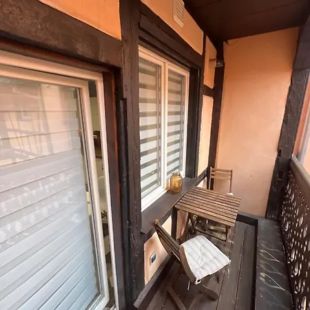 Nid Douillet Au Coeur Du Centre Historique Apartment Colmar