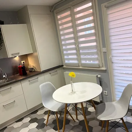 Lägenhet Nid Douillet Au Coeur Du Centre Historique Colmar