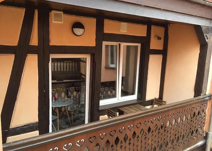 Apartment Nid Douillet Au Coeur Du Centre Historique Colmar
