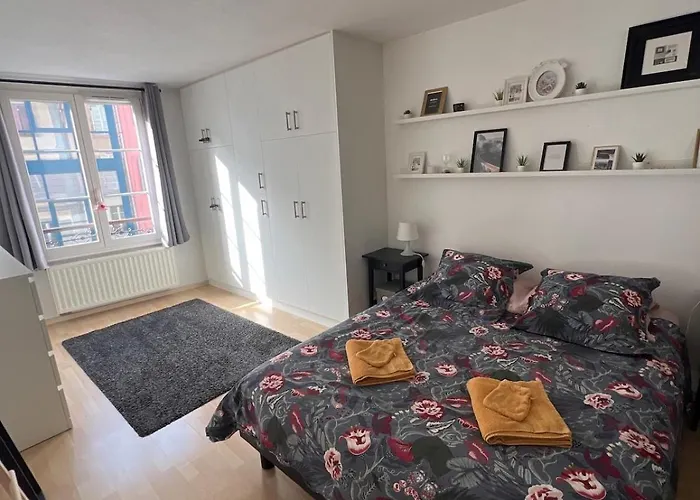 Nid Douillet Au Coeur Du Centre Historique Colmar