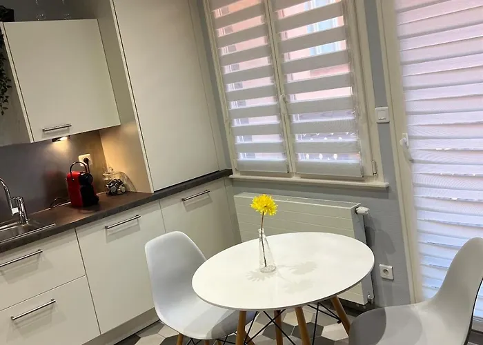 Apartment Nid Douillet Au Coeur Du Centre Historique Colmar